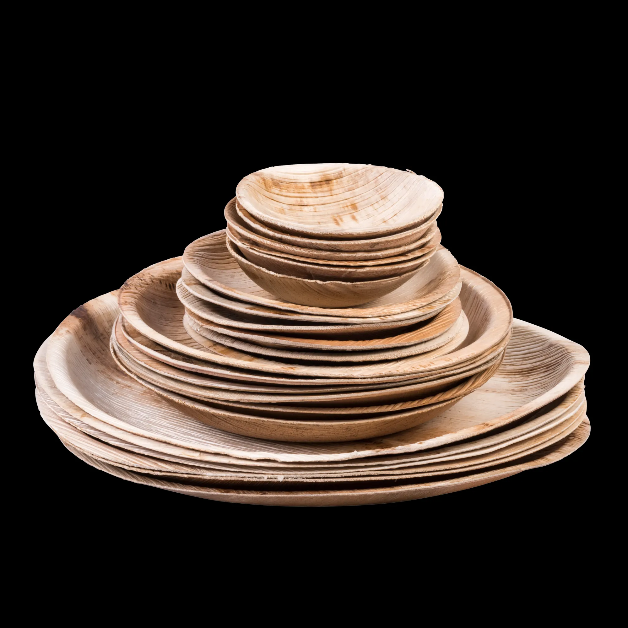 CASA Areca Leaf Ciotole Set Di 6 Naturale