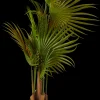 Best CASA Areca Palma Verde