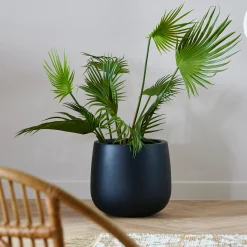 Best CASA Areca Palma Verde