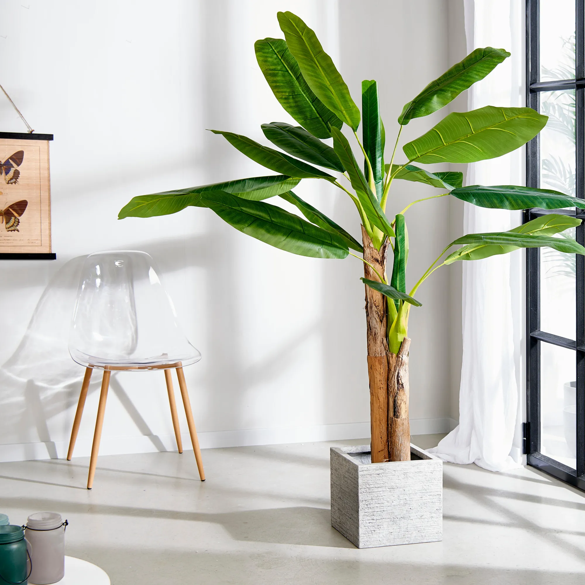 Online CASA Banana Banano Verde
