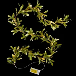 Best CASA Blatte Filo Luminoso Verde