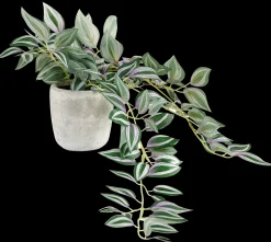 Outlet CASA Calathea Pianta Sospesa Grigio, Verde, Viola