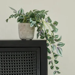 Outlet CASA Calathea Pianta Sospesa Grigio, Verde, Viola