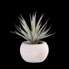 Clearance CASA Cement Succulente Finto In Vaso Grigio