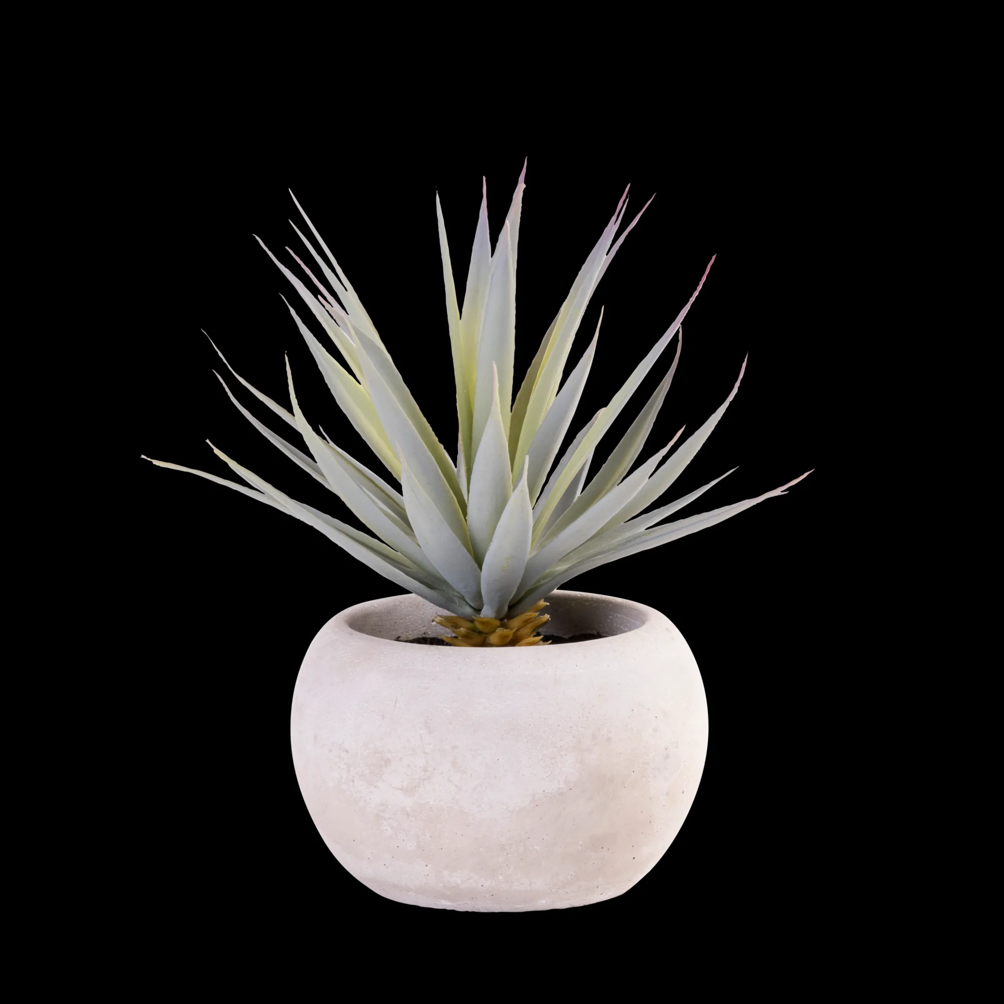 Clearance CASA Cement Succulente Finto In Vaso Grigio