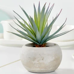 Clearance CASA Cement Succulente Finto In Vaso Grigio