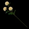 Hot CASA Chrysanthemum Beige