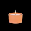 Discount CASA Citronella Vaso Terracotta Bianco, Verde