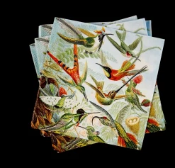 CASA Colibri Set Di 20 Tov Multicolore