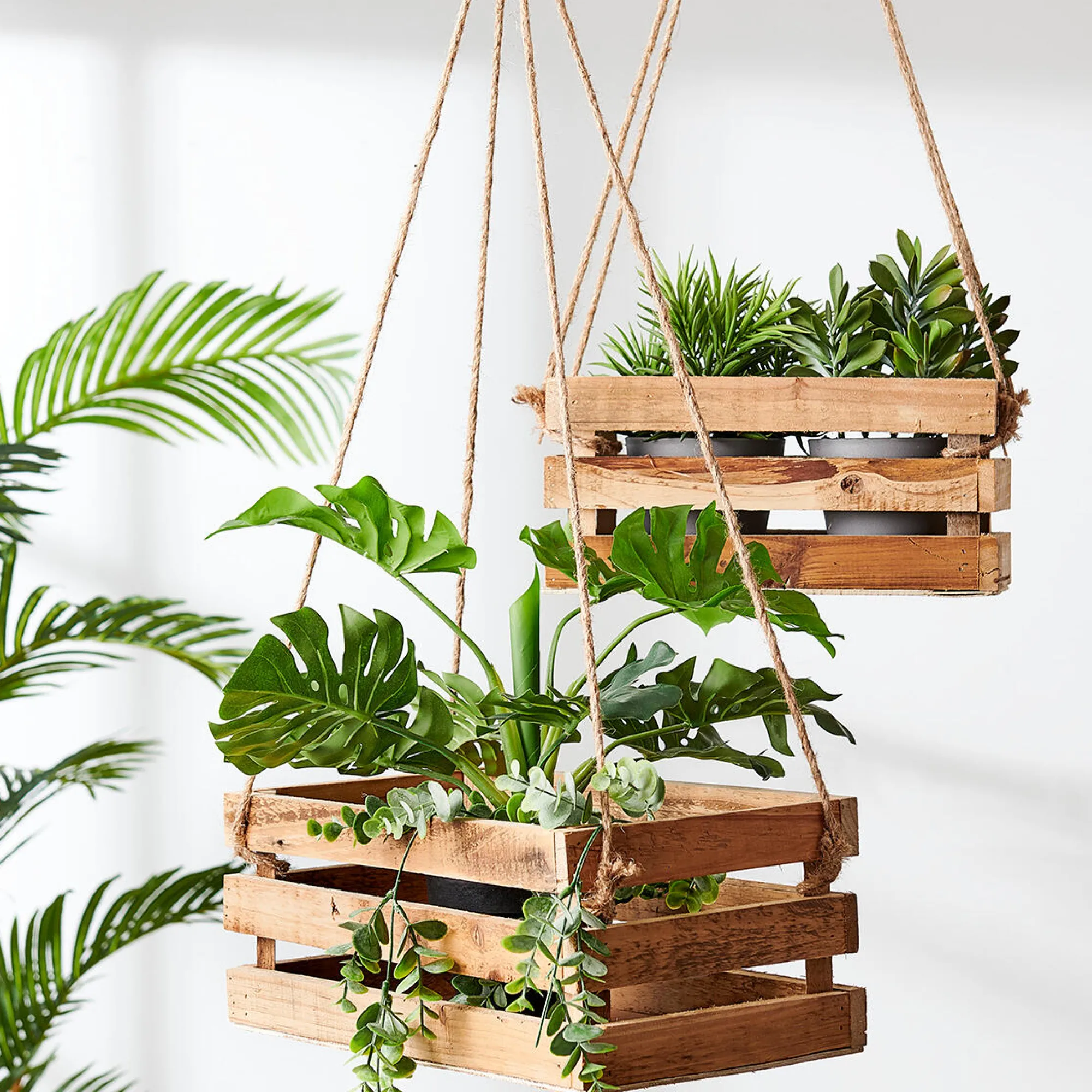 Clearance CASA Crate Cassa Naturale