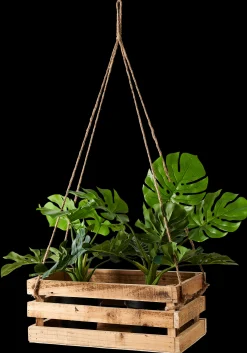 Best CASA Crate Cassa Naturale