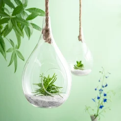 Clearance CASA Drop Goccia Di Vetro Trasparente
