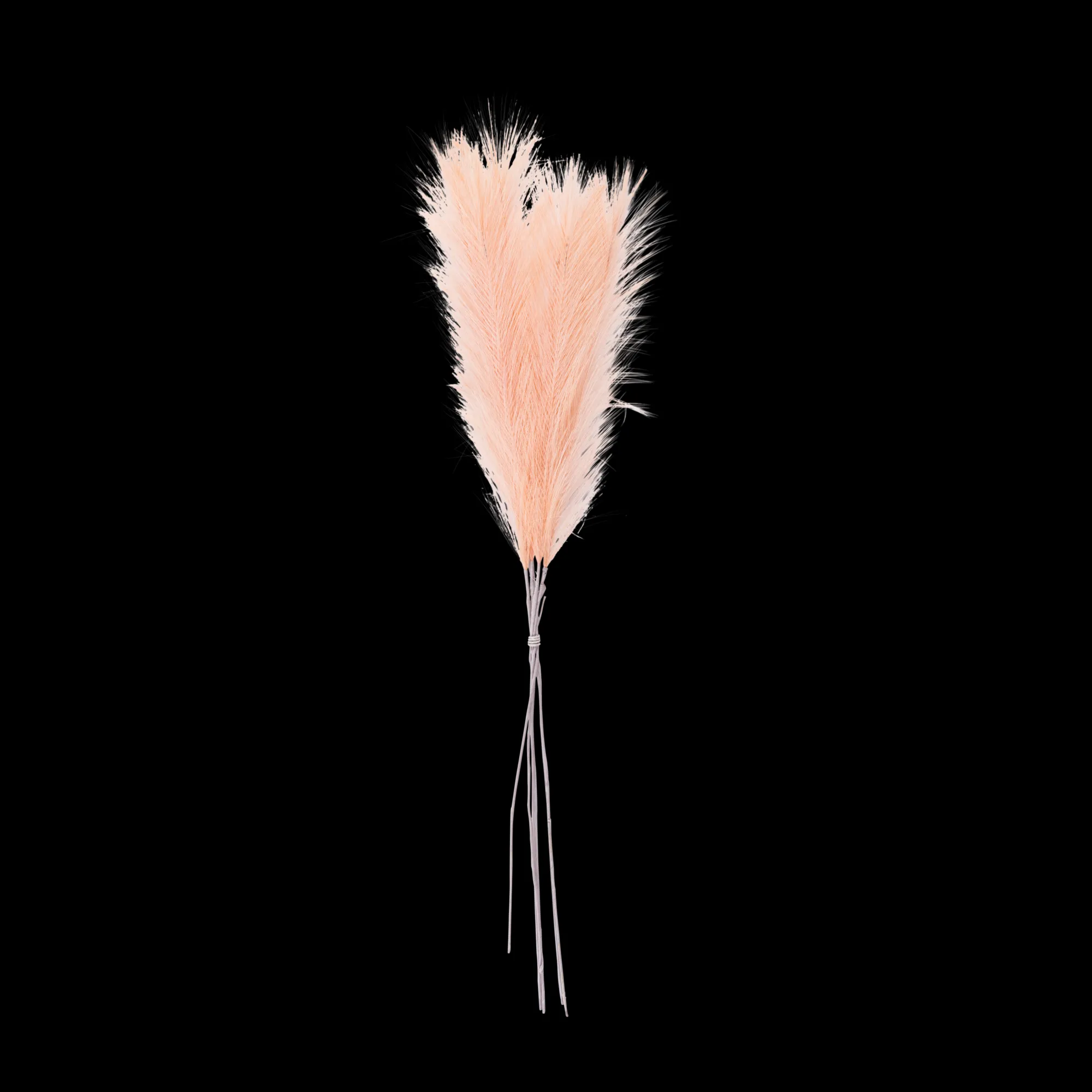 Online CASA Ecru Piume Decorative Marrone Chiaro