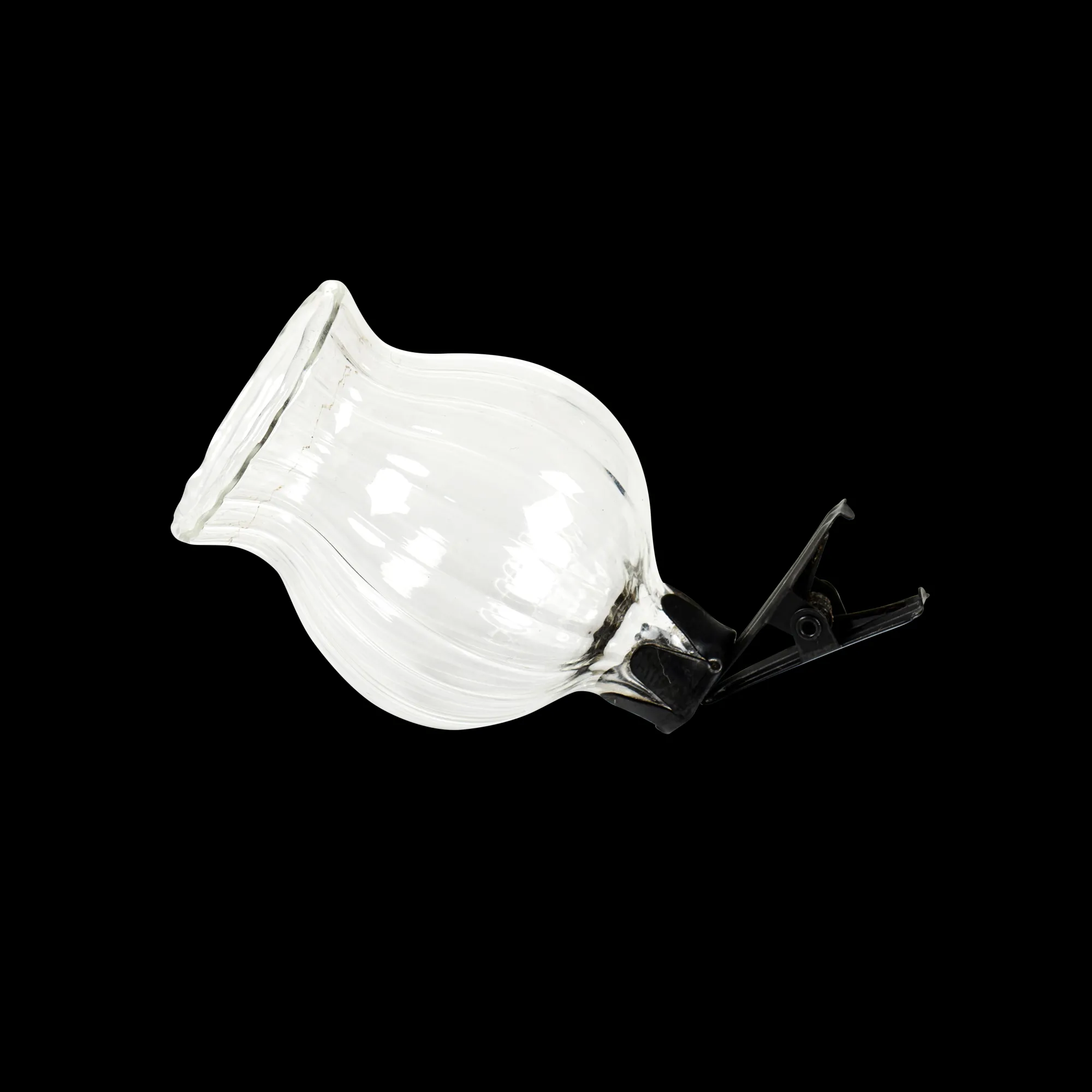 Outlet CASA Fiori Vasetto Nero, Trasparente
