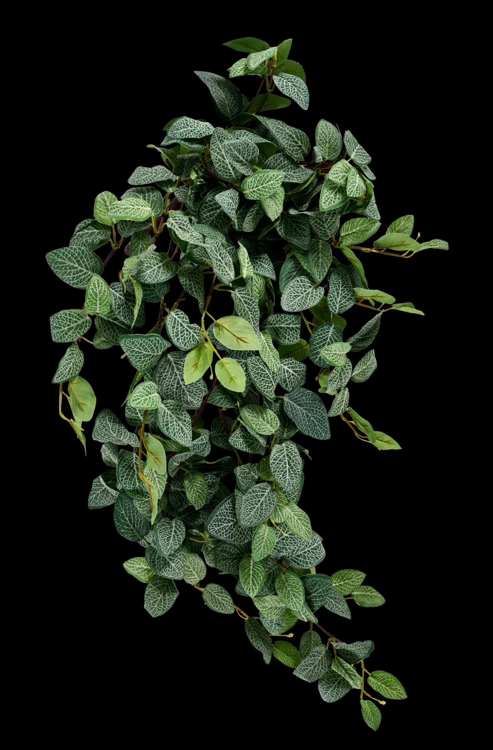Hot CASA Fittonia Ghirlanda Di Foglie Verde