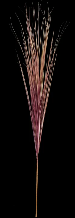 Discount CASA Grass Mazzo Di Erba Rosso