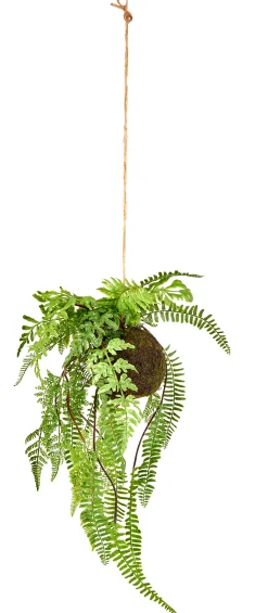 Discount CASA Greenery Vaso Sospeso Con Felce Verde