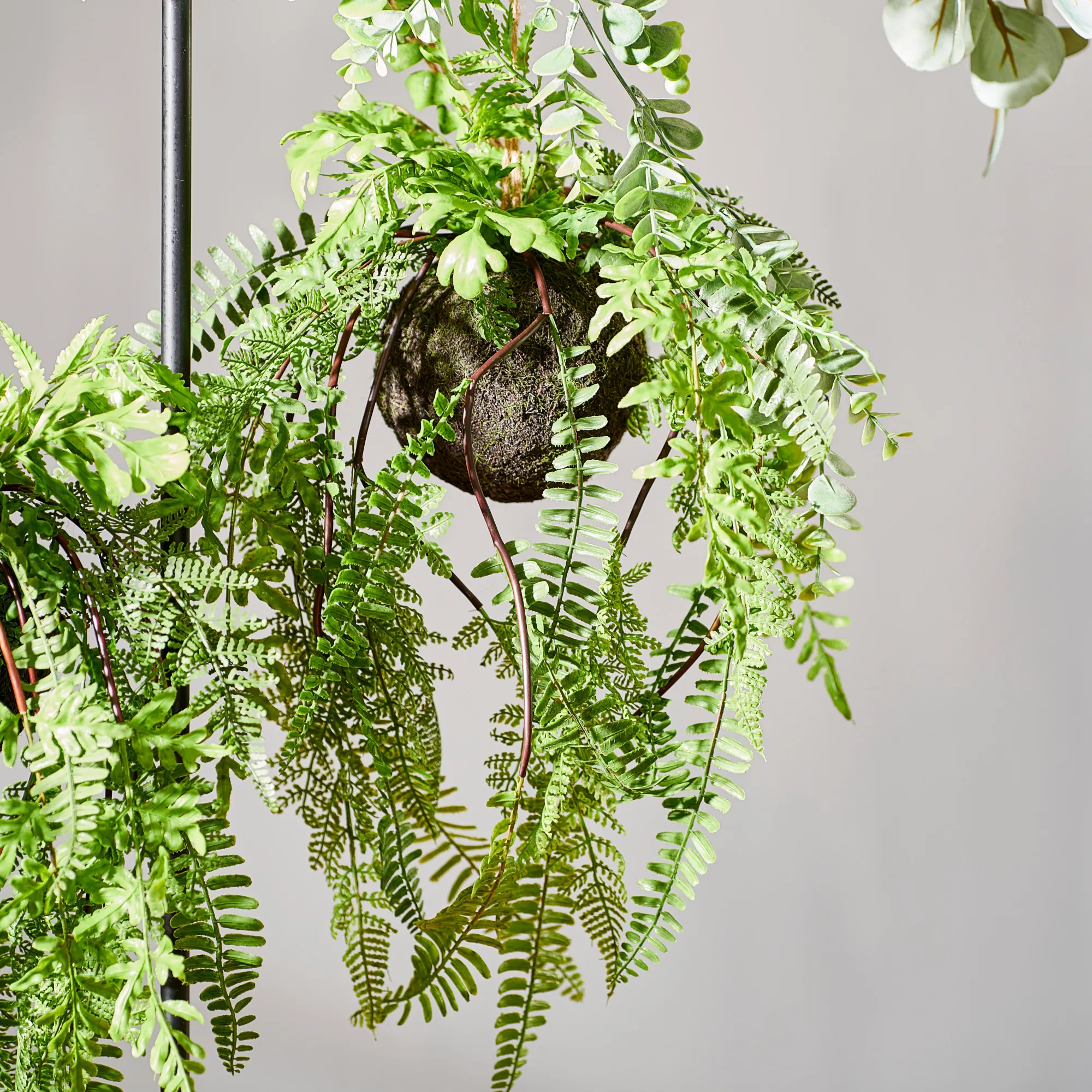 Discount CASA Greenery Vaso Sospeso Con Felce Verde