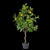 Outlet CASA Lemon Albero Di Limone Verde