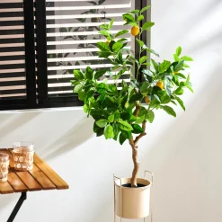 Outlet CASA Lemon Albero Di Limone Verde