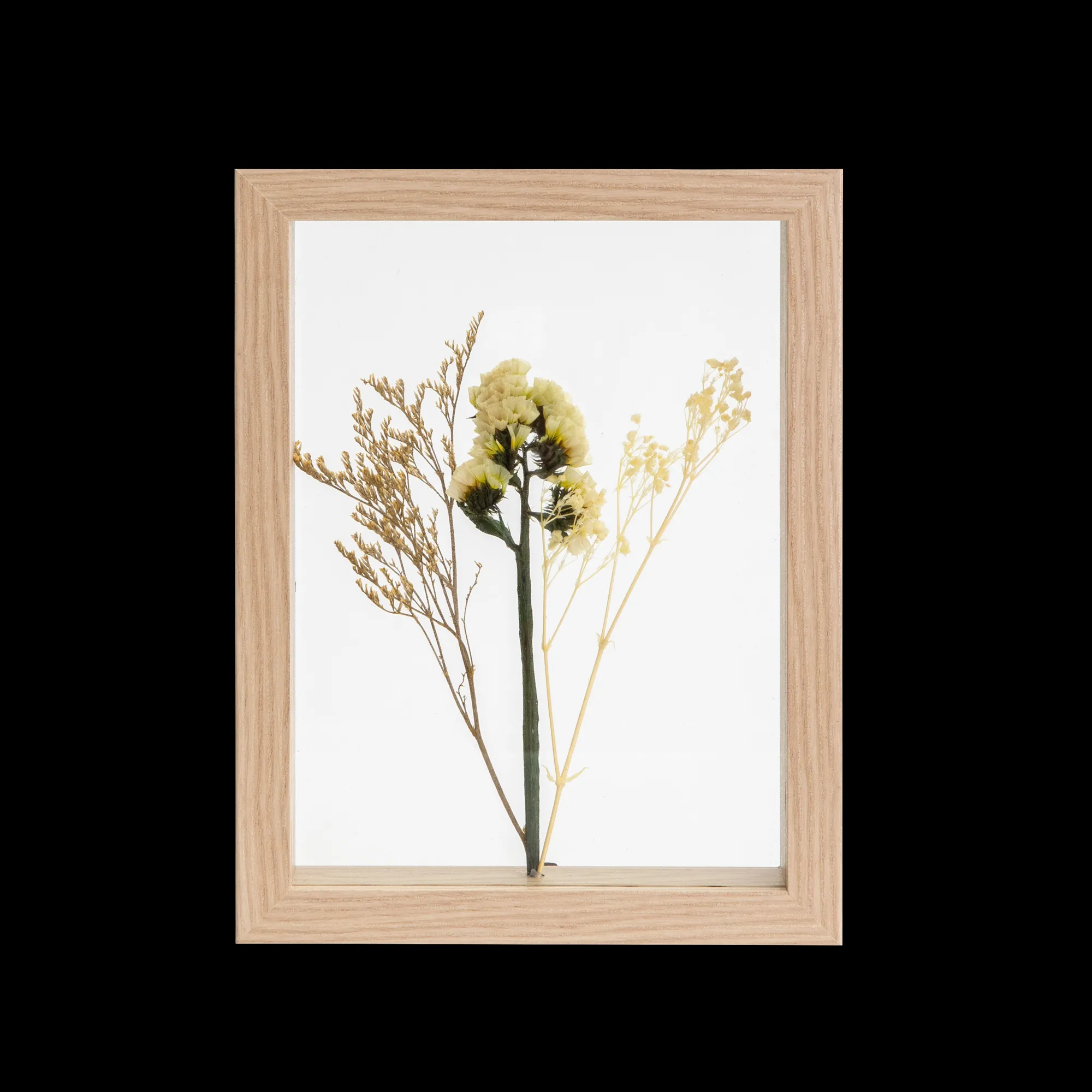 Clearance CASA Limonium Decorazione Da Parete Naturale