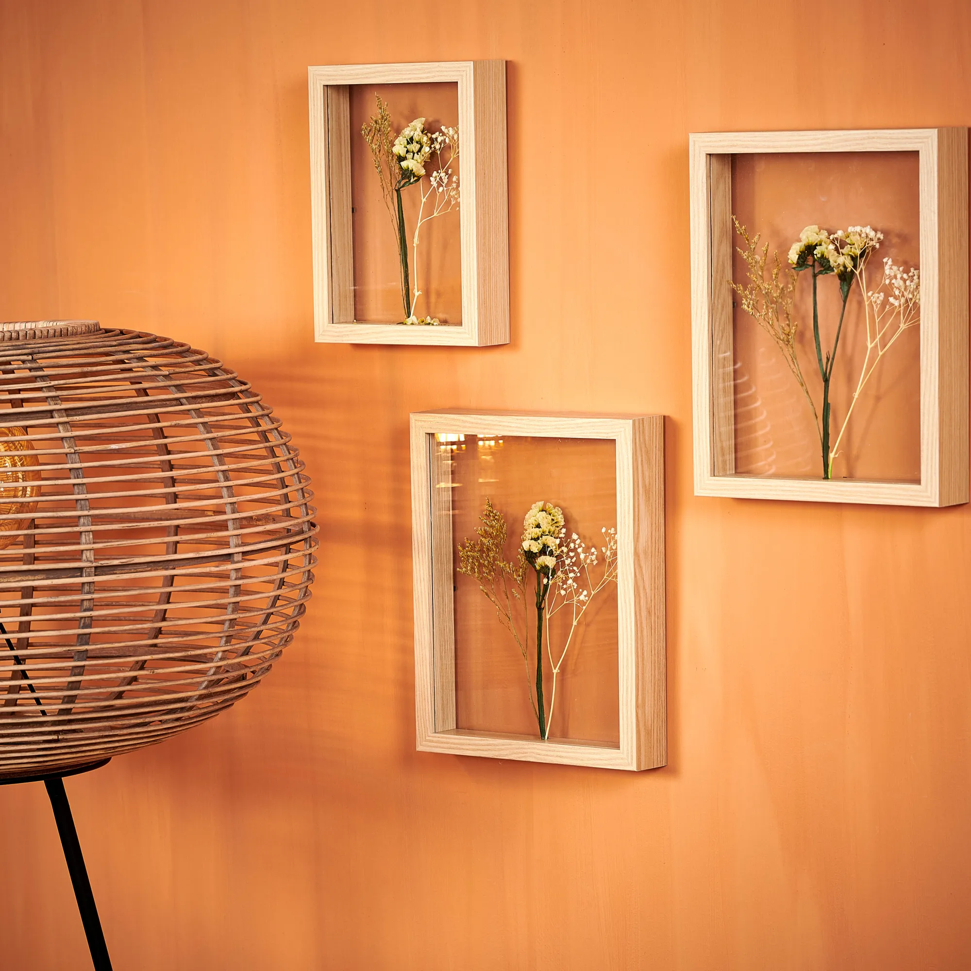 Clearance CASA Limonium Decorazione Da Parete Naturale
