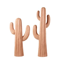 Best CASA Magnesia Cactus Terracotta
