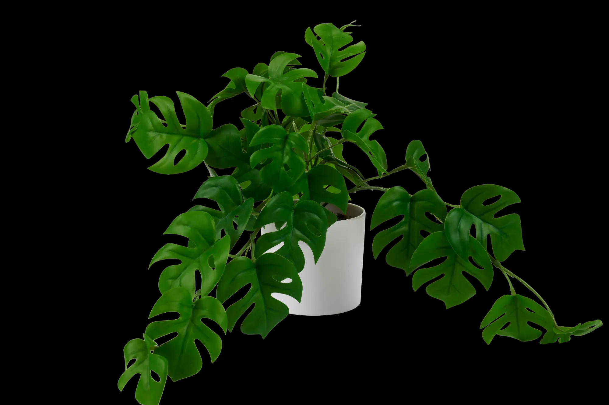 Outlet CASA Monstera Pianta Vari Colori, Bianco, Verde