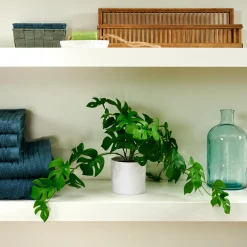 Outlet CASA Monstera Pianta Vari Colori, Bianco, Verde