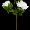 Outlet CASA Peony Peonia Bianco
