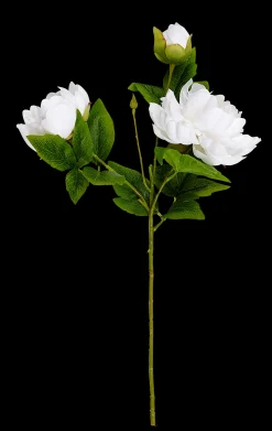 Outlet CASA Peony Peonia Bianco