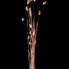 Online CASA Phalaris Erba Decorativa Rame