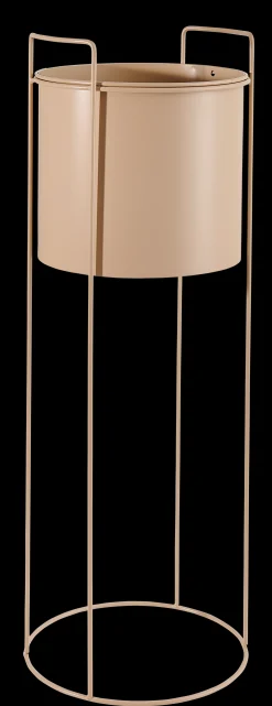 CASA Pluto Crema