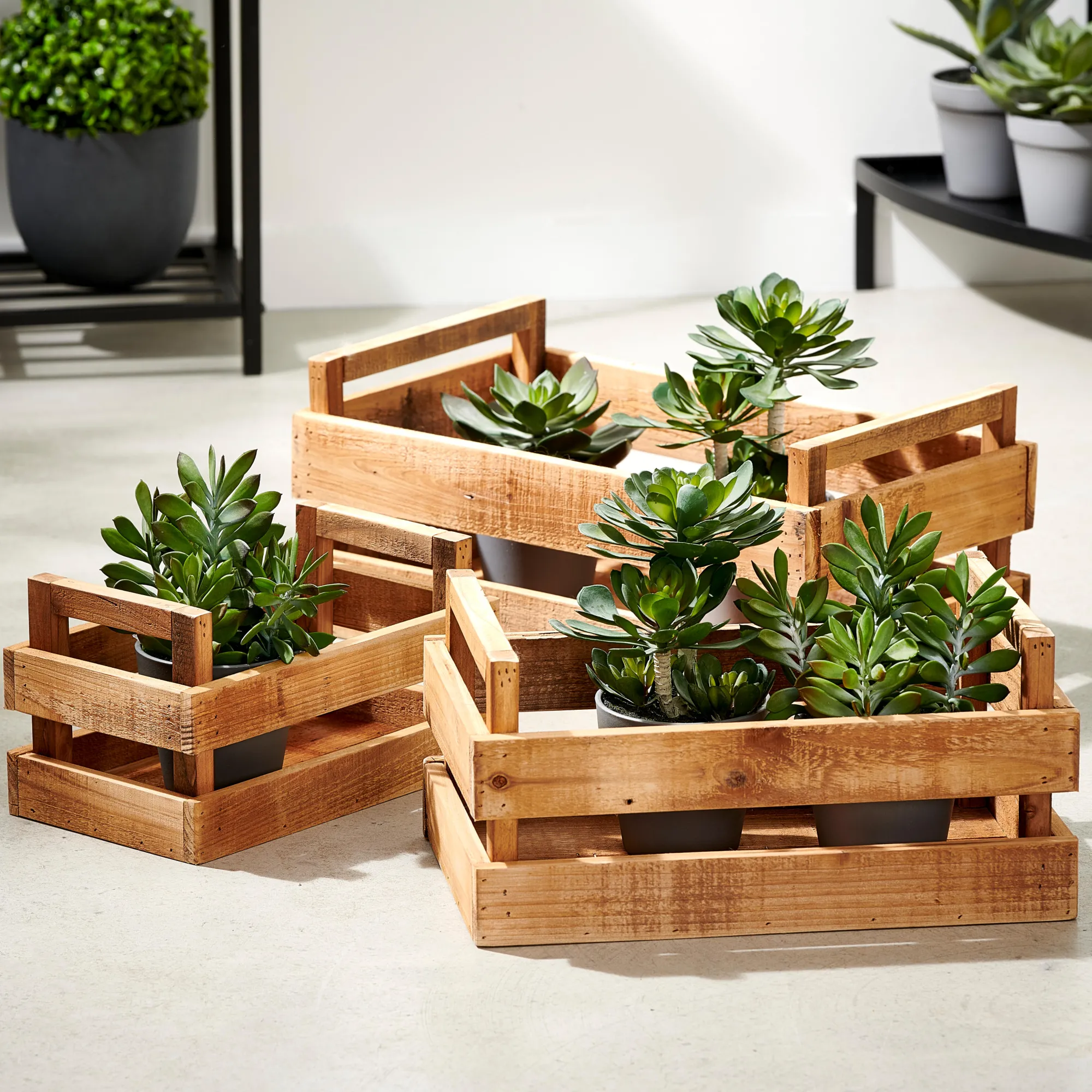 Best CASA Recycle Cassetta Naturale