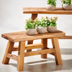 Hot CASA Recycle Portapiante Naturale