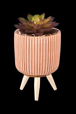Discount CASA Stripe Succulente Finto In Vaso Multicolore