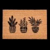Best CASA Succulent Zerbino Naturale