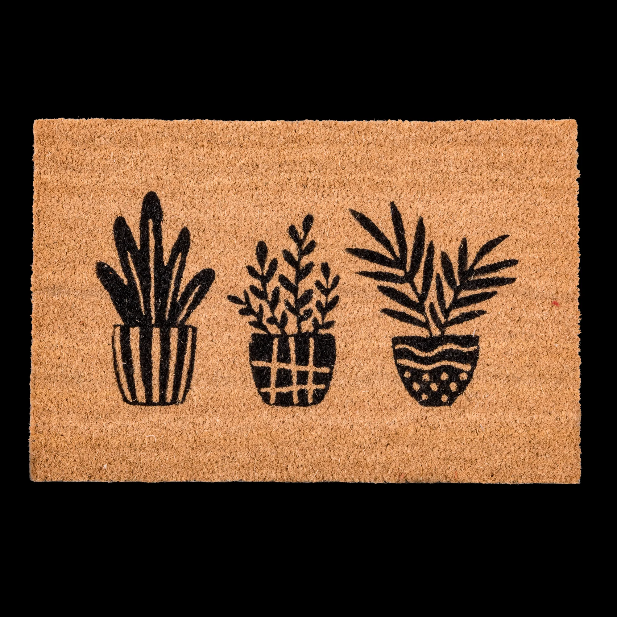 Best CASA Succulent Zerbino Naturale