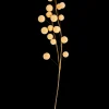 Discount CASA Trifolium Ramo Floreale Giallo