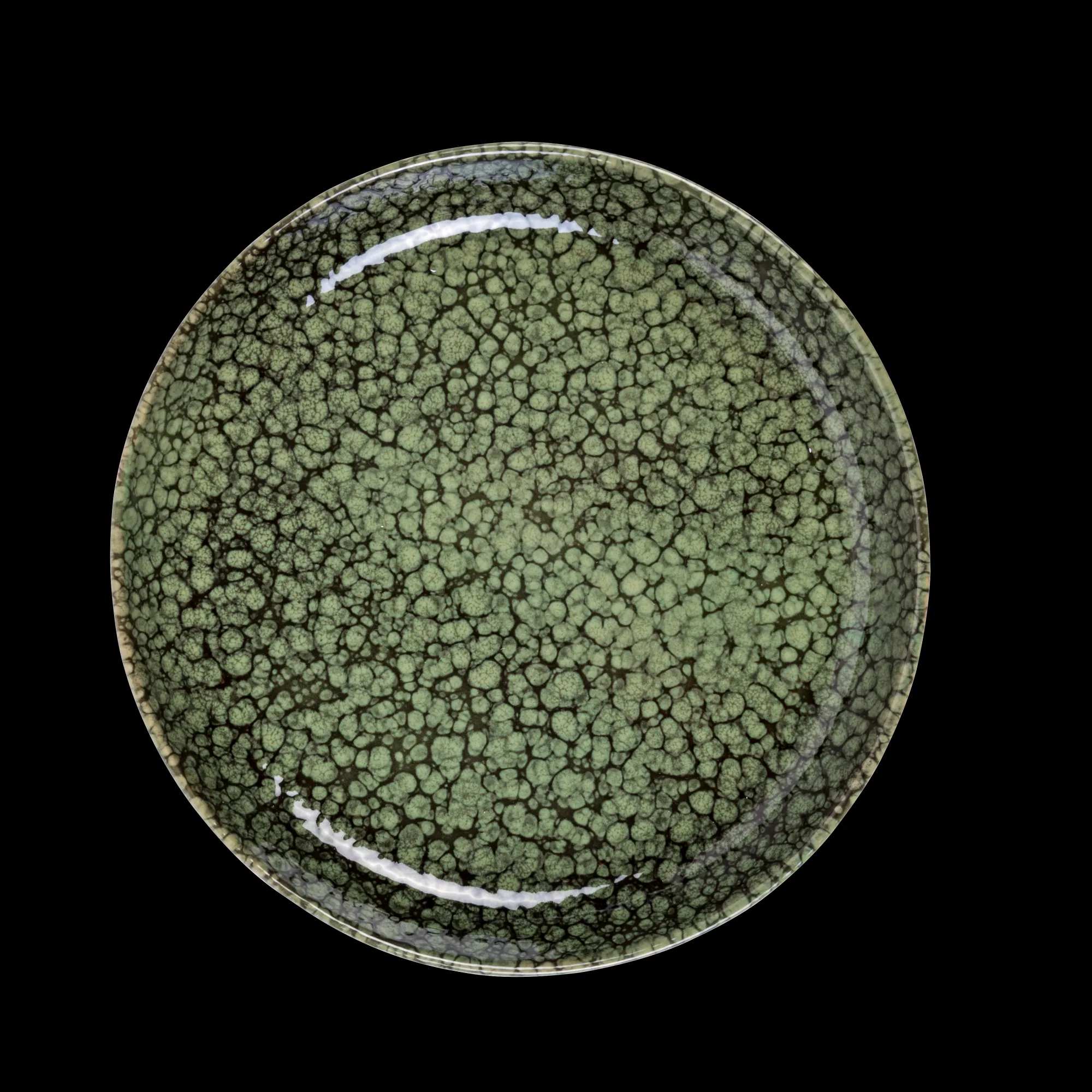 New CASA Waterfauna Ciotola Verde