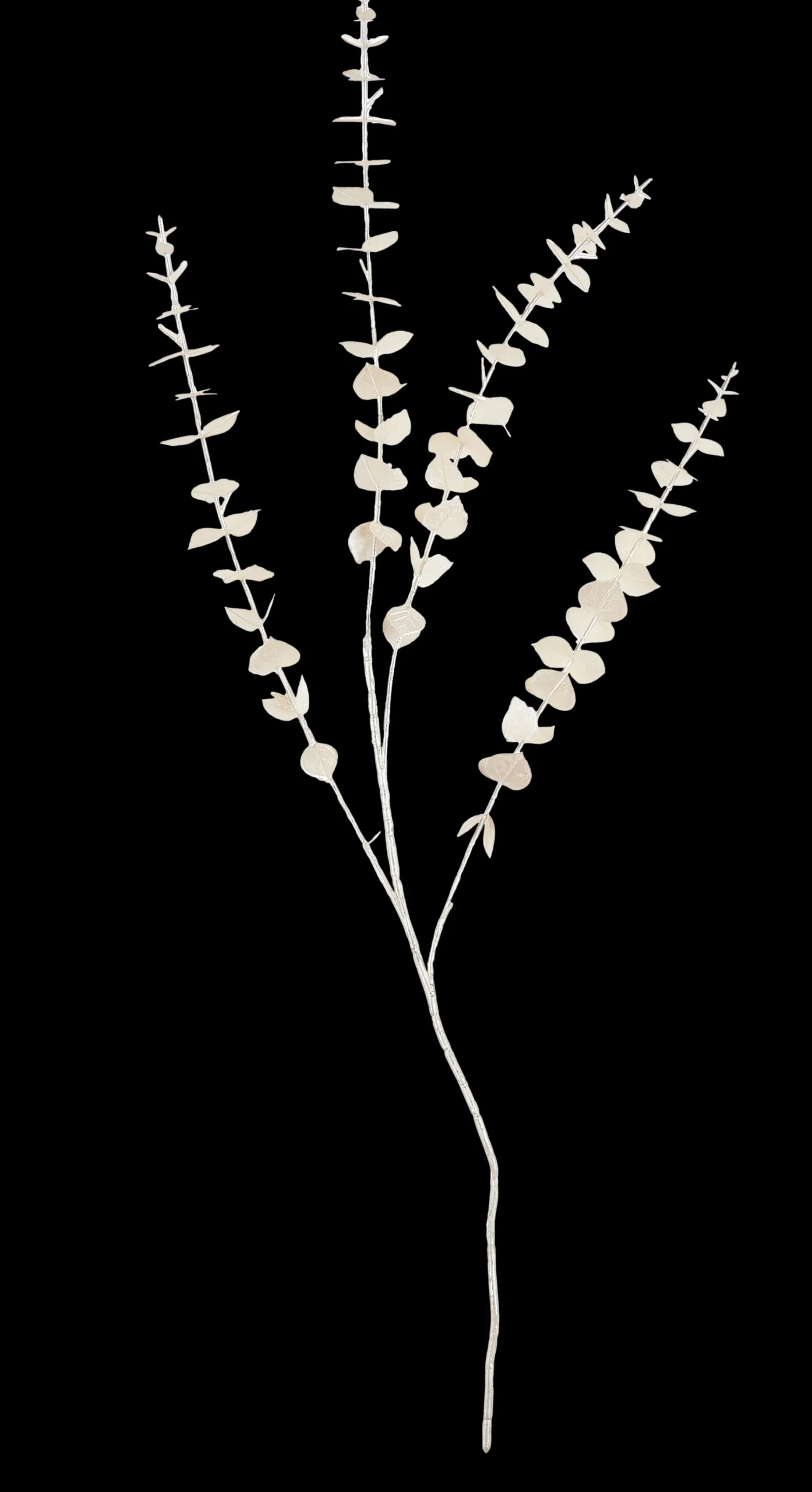 CASA White Ramo D'Eucalipto Bianco
